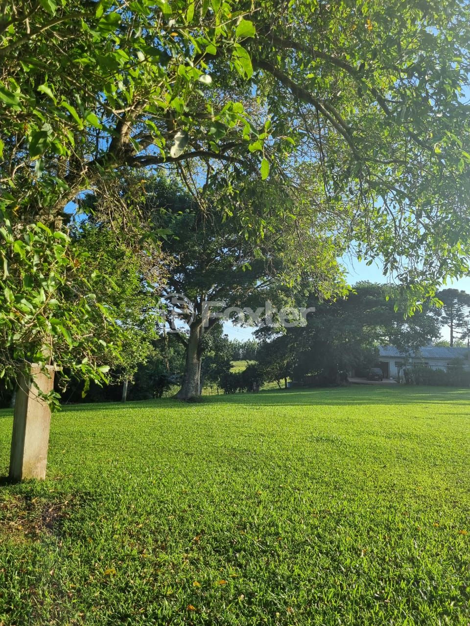 Sítio à venda com 3 quartos, 1085m² - Foto 64