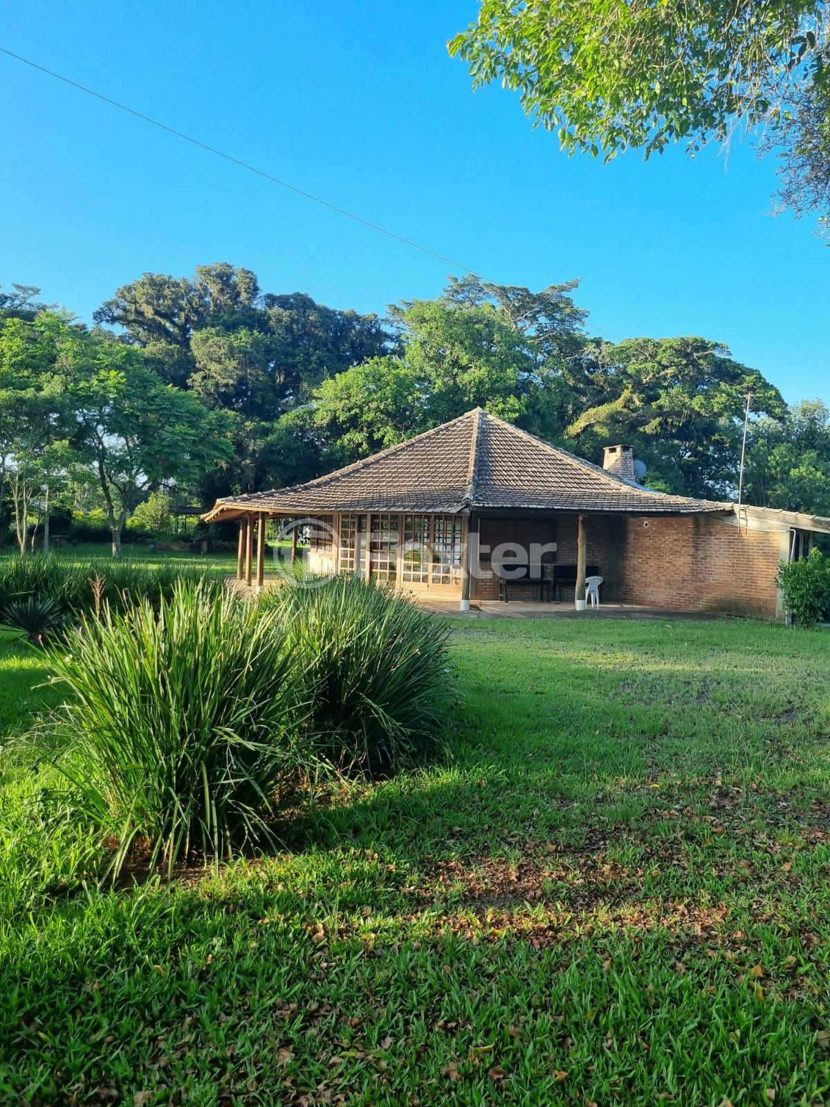 Sítio à venda com 3 quartos, 1085m² - Foto 72