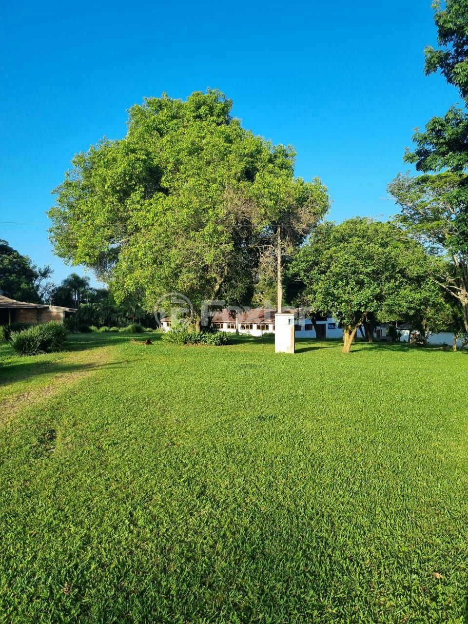 Sítio à venda com 3 quartos, 1085m² - Foto 62