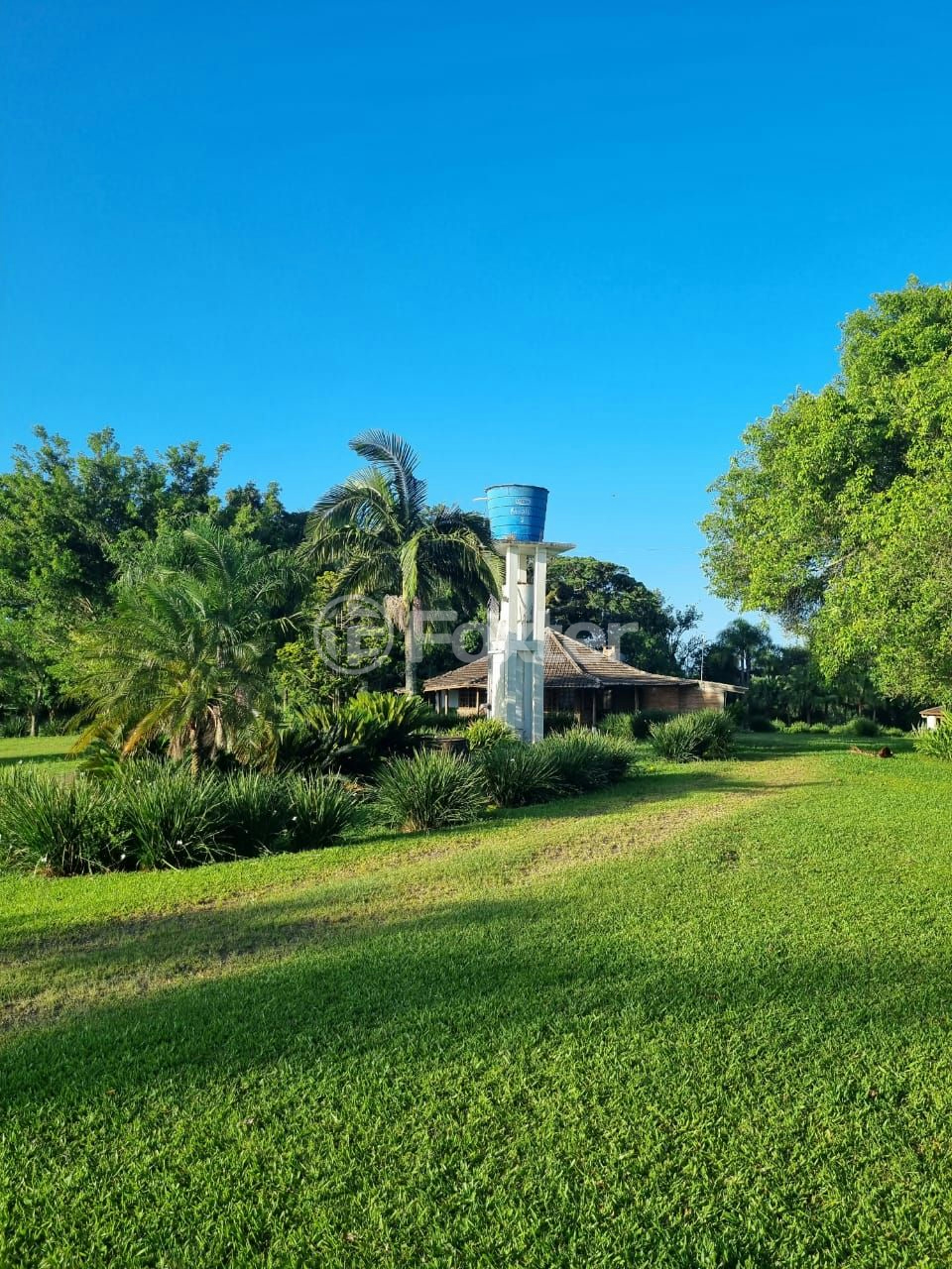 Sítio à venda com 3 quartos, 1085m² - Foto 48