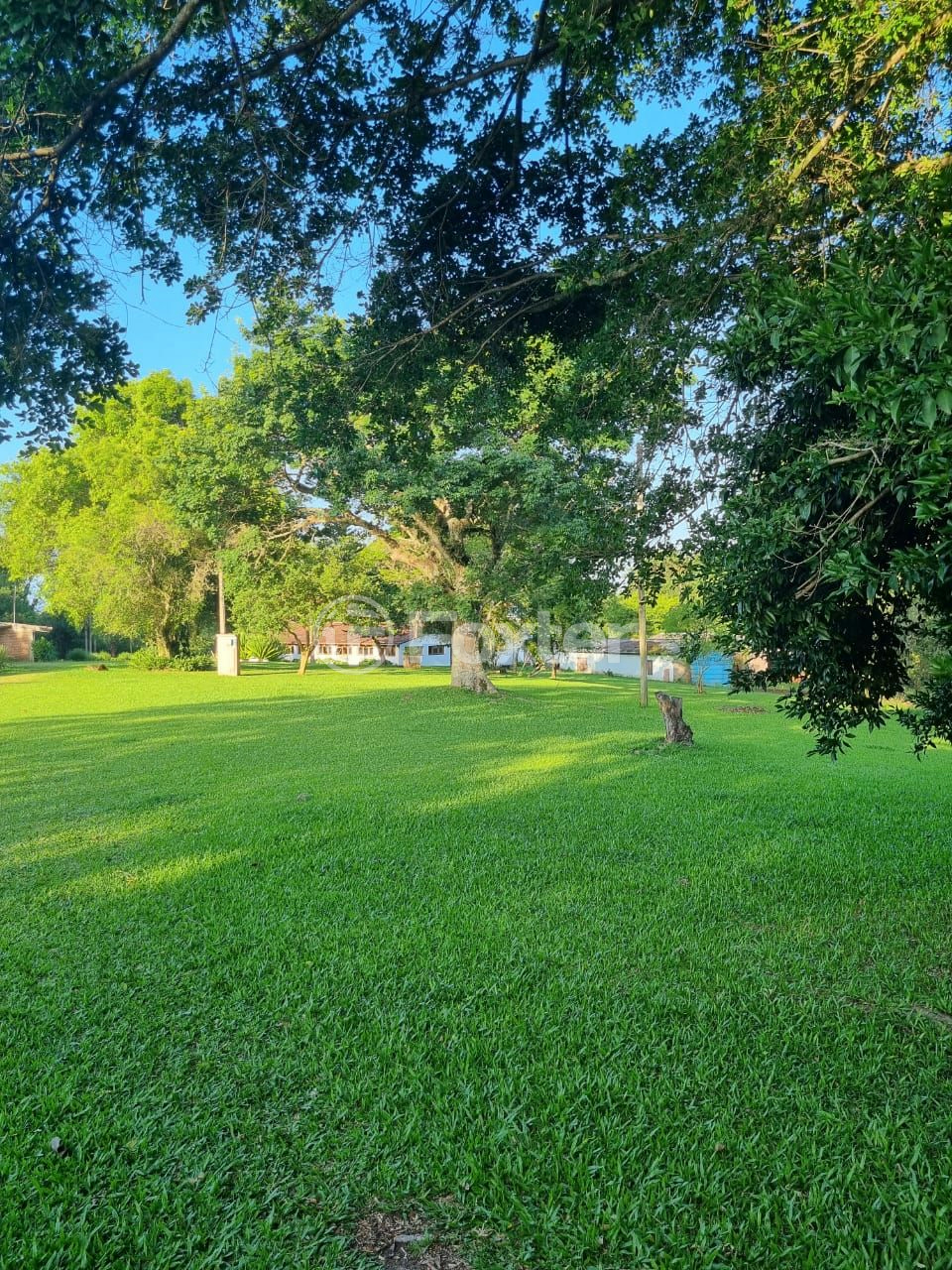 Sítio à venda com 3 quartos, 1085m² - Foto 65