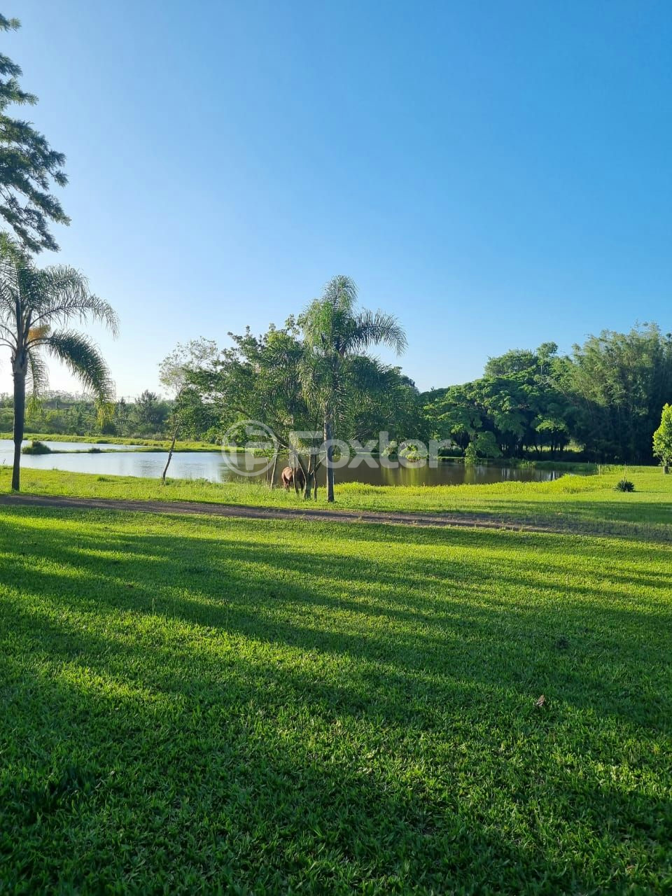 Sítio à venda com 3 quartos, 1085m² - Foto 32