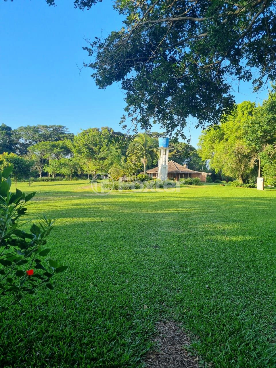Sítio à venda com 3 quartos, 1085m² - Foto 60