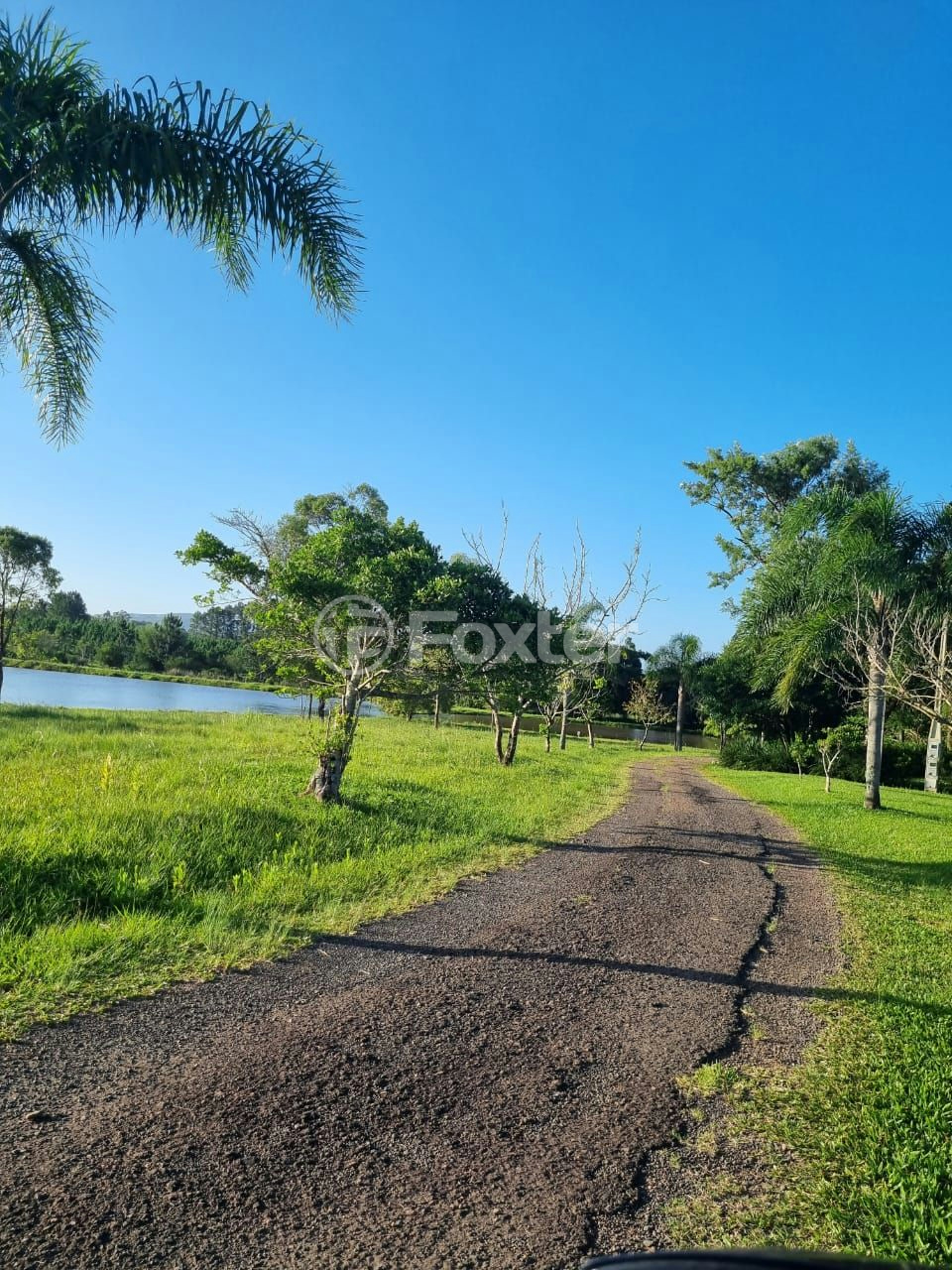 Sítio à venda com 3 quartos, 1085m² - Foto 46
