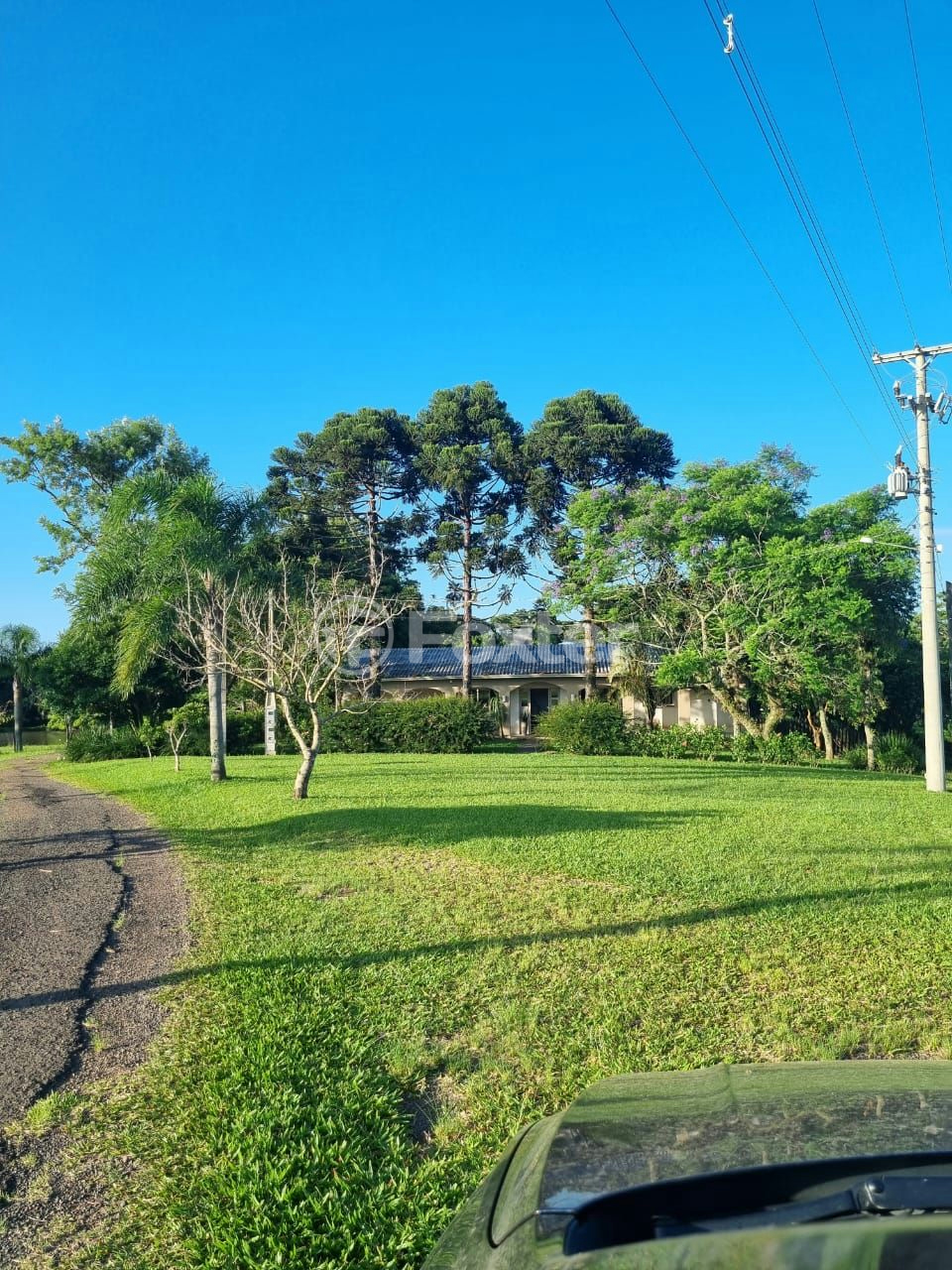 Sítio à venda com 3 quartos, 1085m² - Foto 50