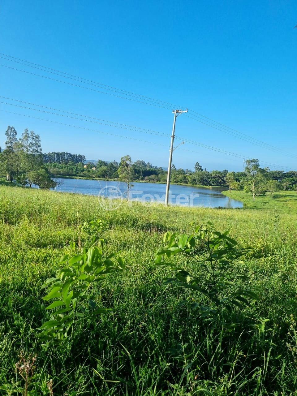 Sítio à venda com 3 quartos, 1085m² - Foto 40