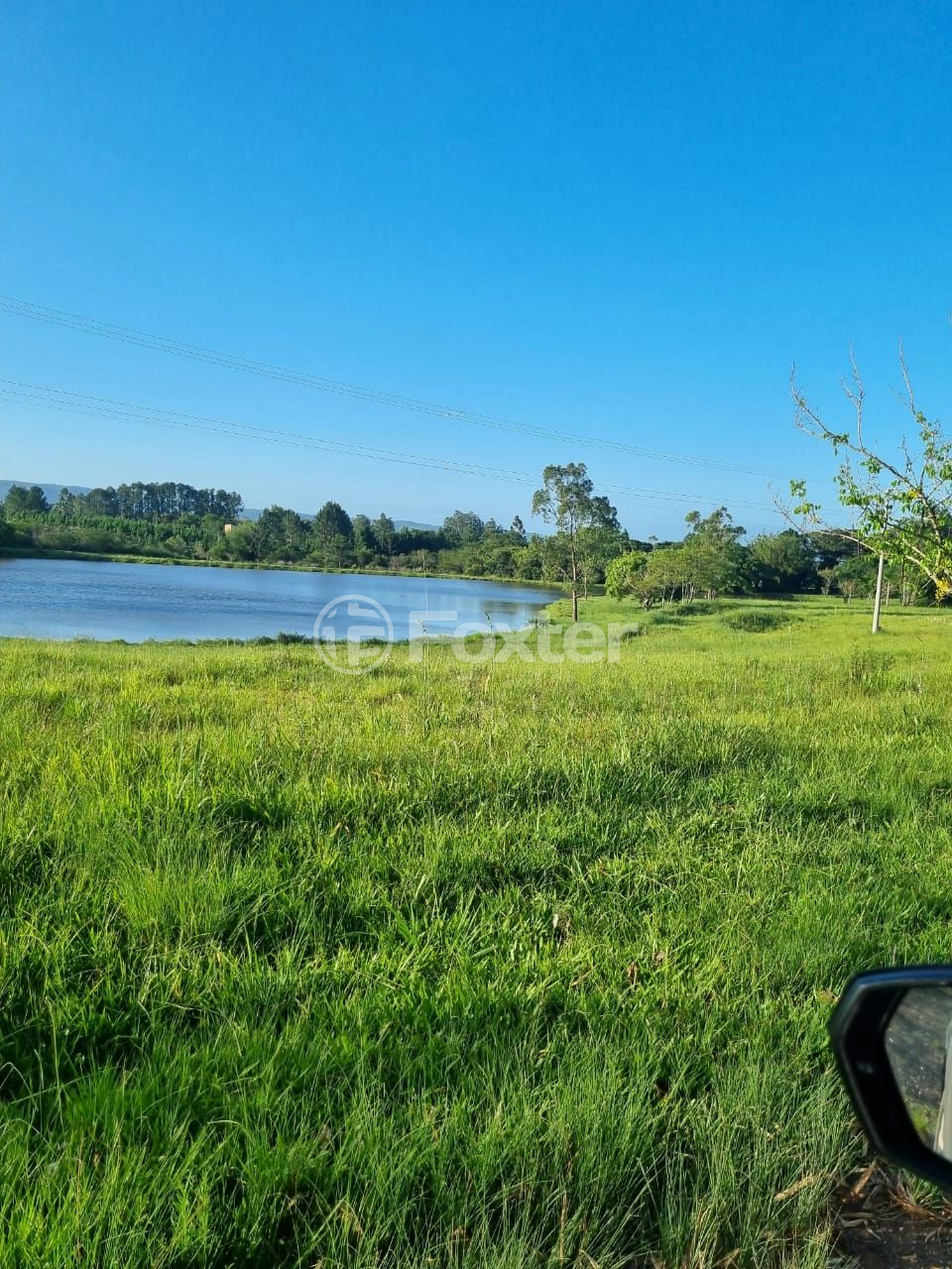 Sítio à venda com 3 quartos, 1085m² - Foto 37