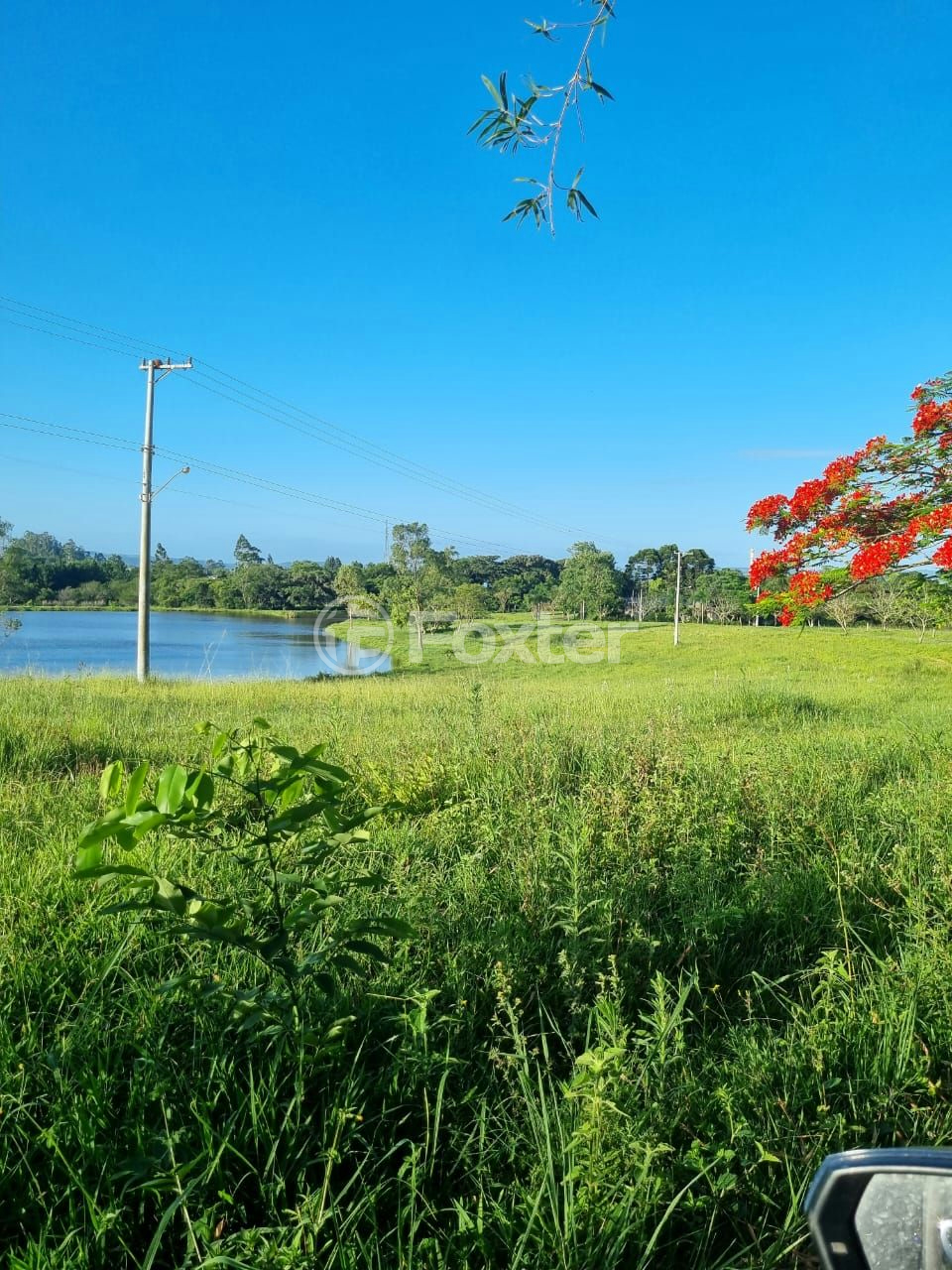 Sítio à venda com 3 quartos, 1085m² - Foto 34