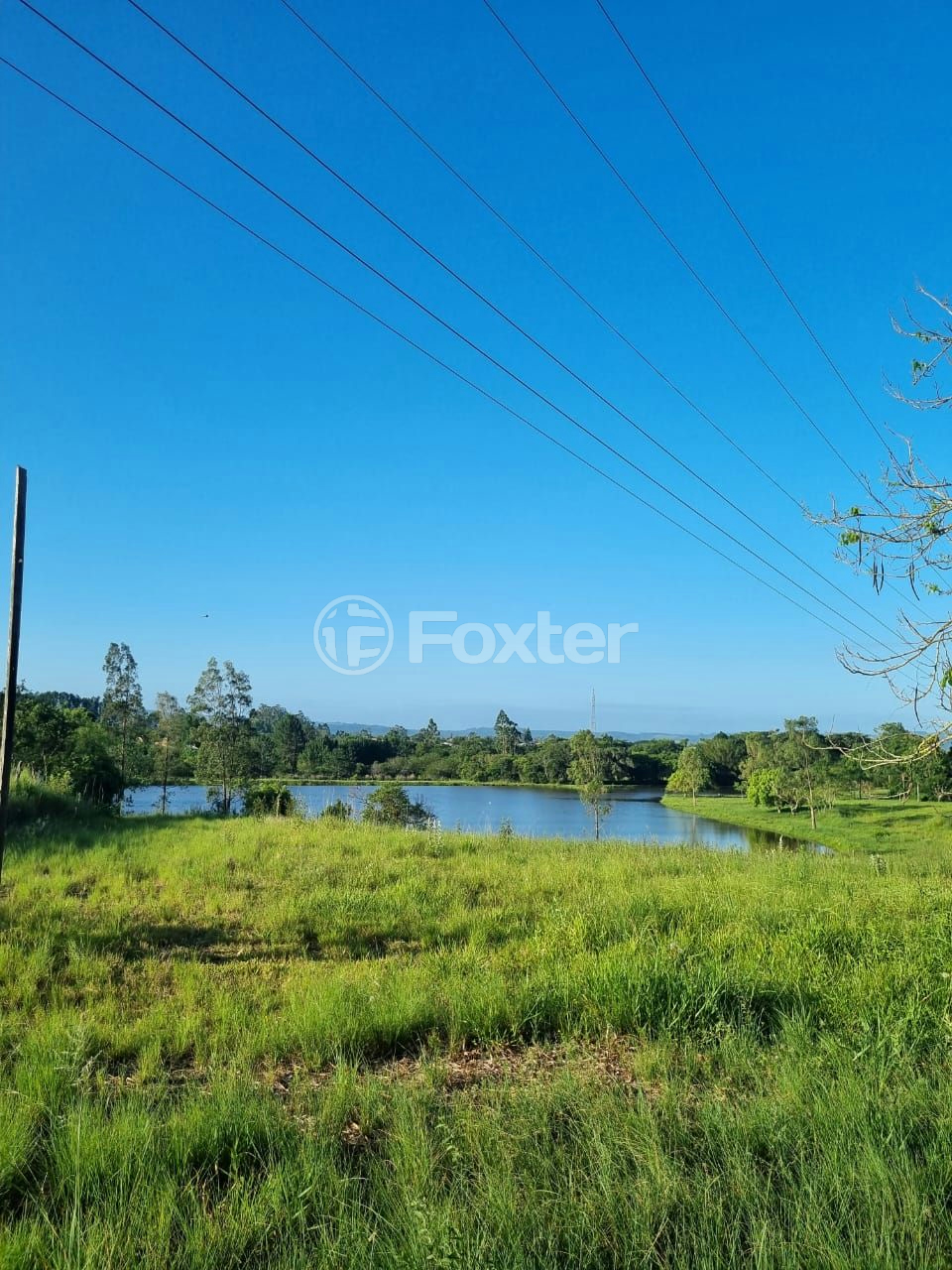 Sítio à venda com 3 quartos, 1085m² - Foto 26