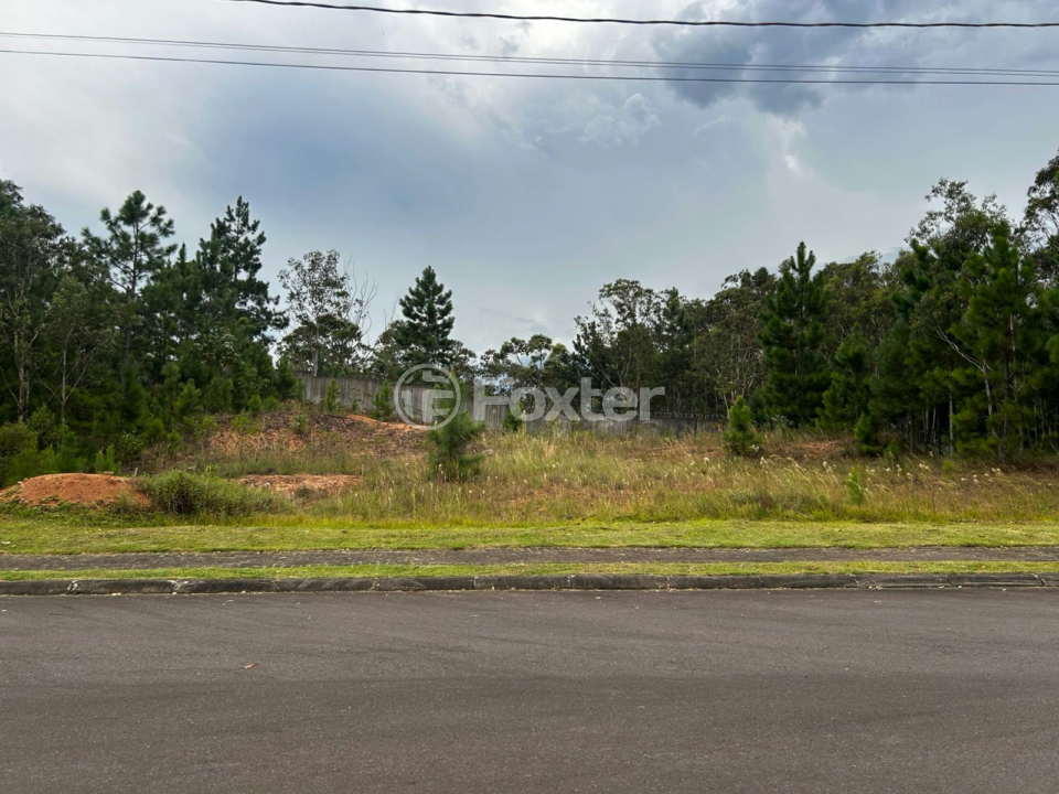 Terreno à venda, 1000m² - Foto 1