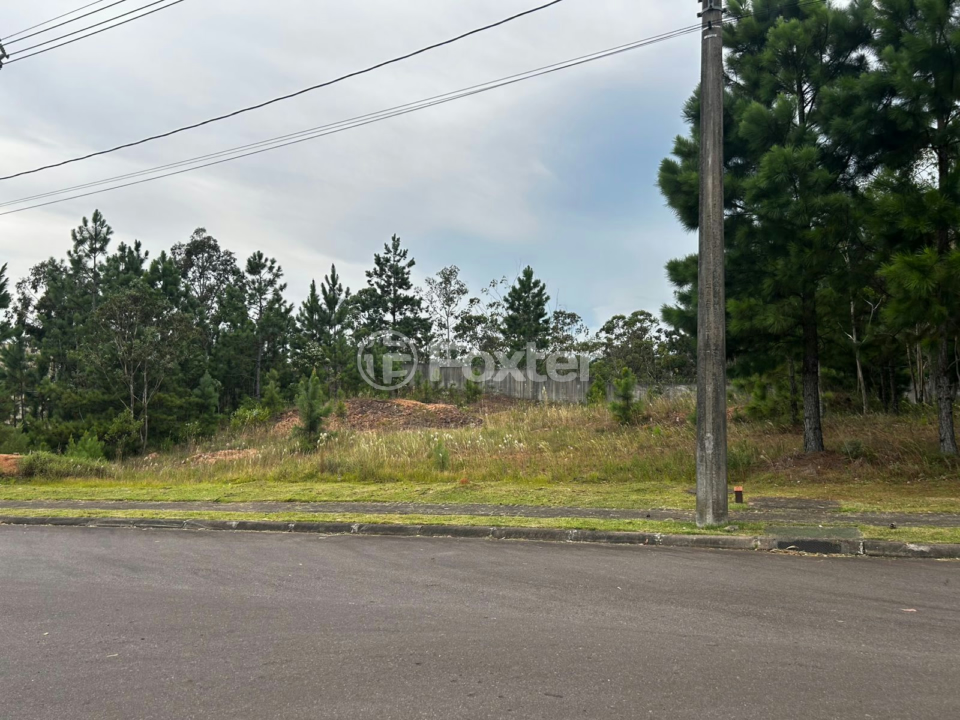 Terreno à venda, 1000m² - Foto 3