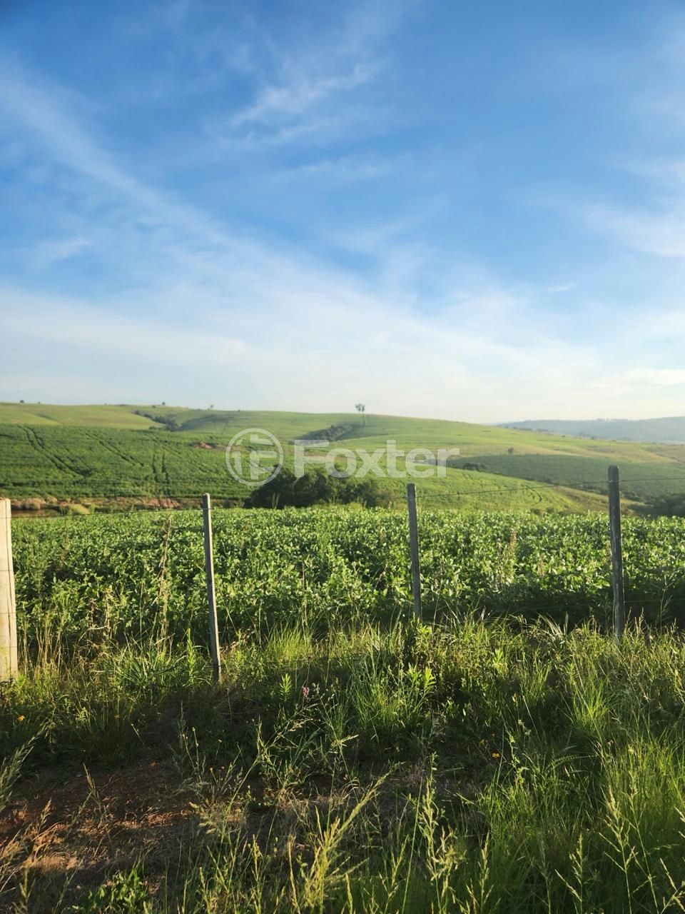 Fazenda à venda com 5 quartos, 2500000m² - Foto 3