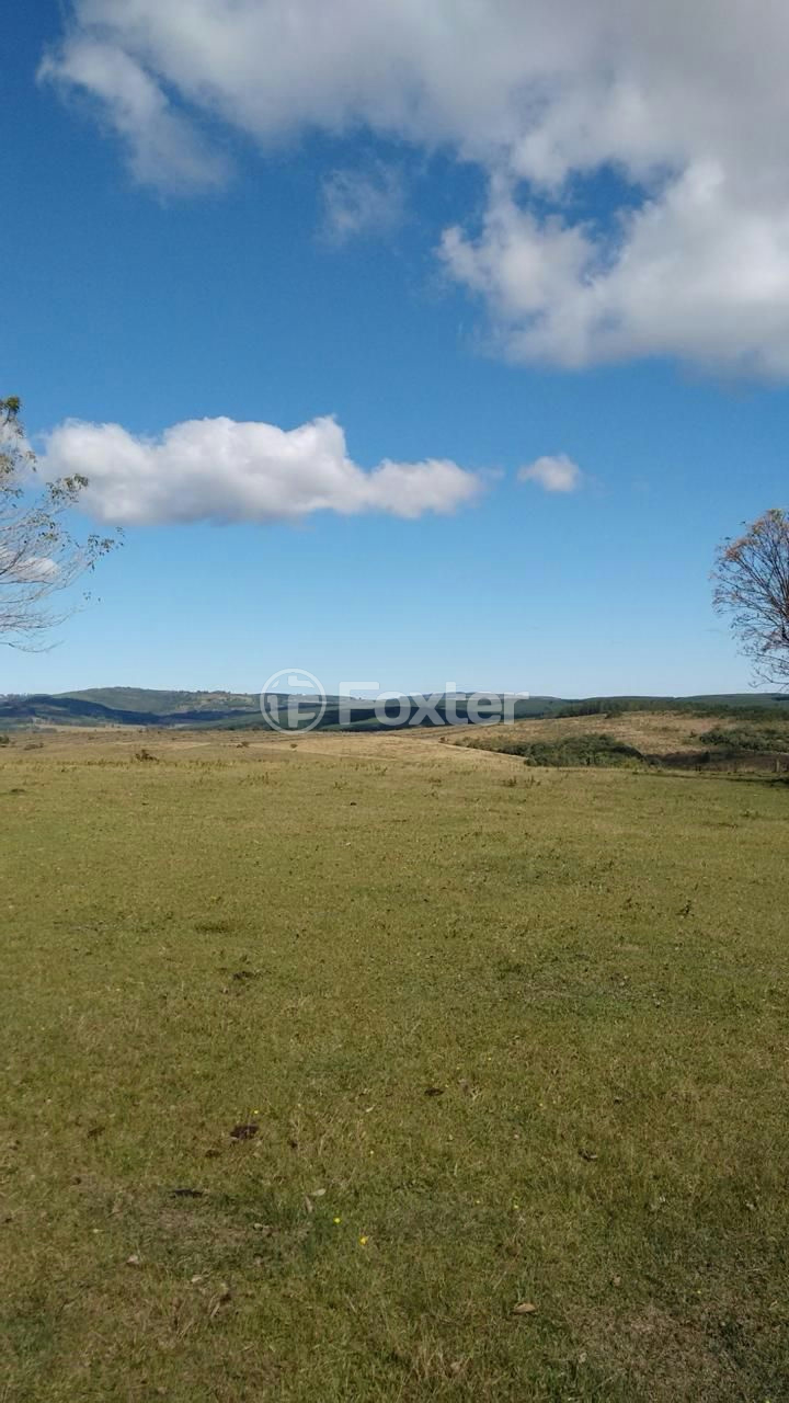 Fazenda à venda com 5 quartos, 2500000m² - Foto 8