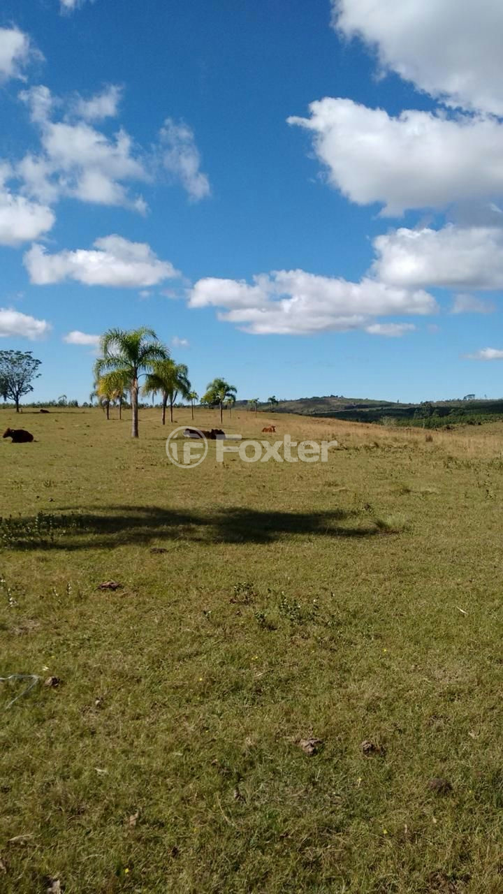Fazenda à venda com 5 quartos, 2500000m² - Foto 9