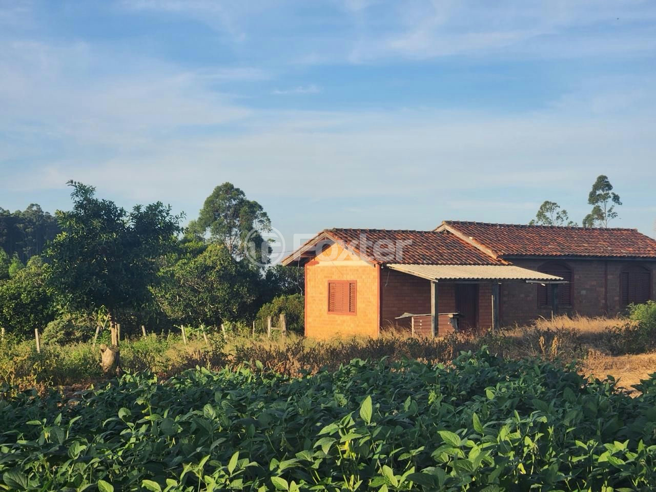Fazenda à venda com 5 quartos, 2500000m² - Foto 11