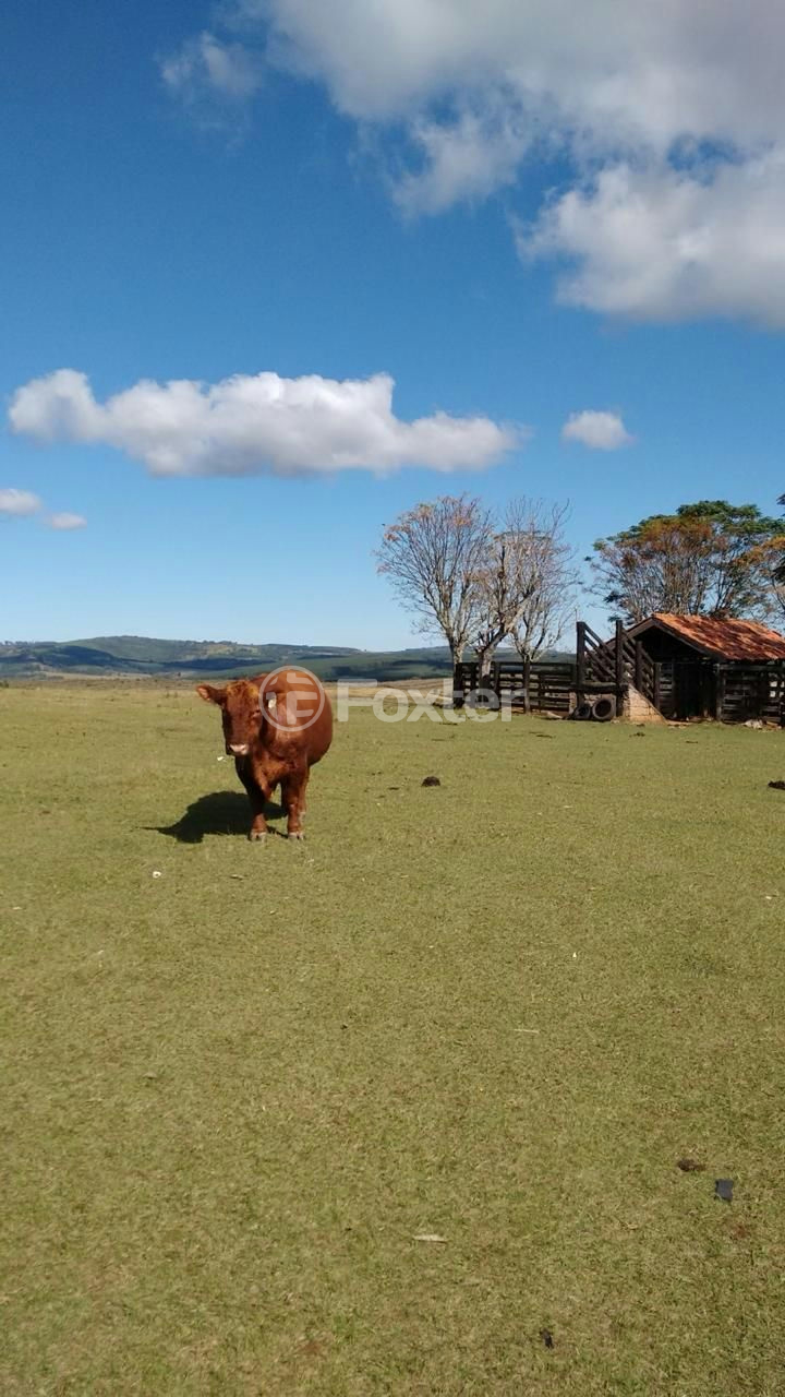 Fazenda à venda com 5 quartos, 2500000m² - Foto 2