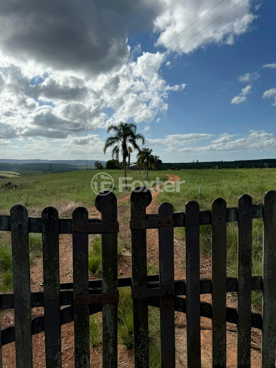 Fazenda à venda com 5 quartos, 2500000m² - Foto 15