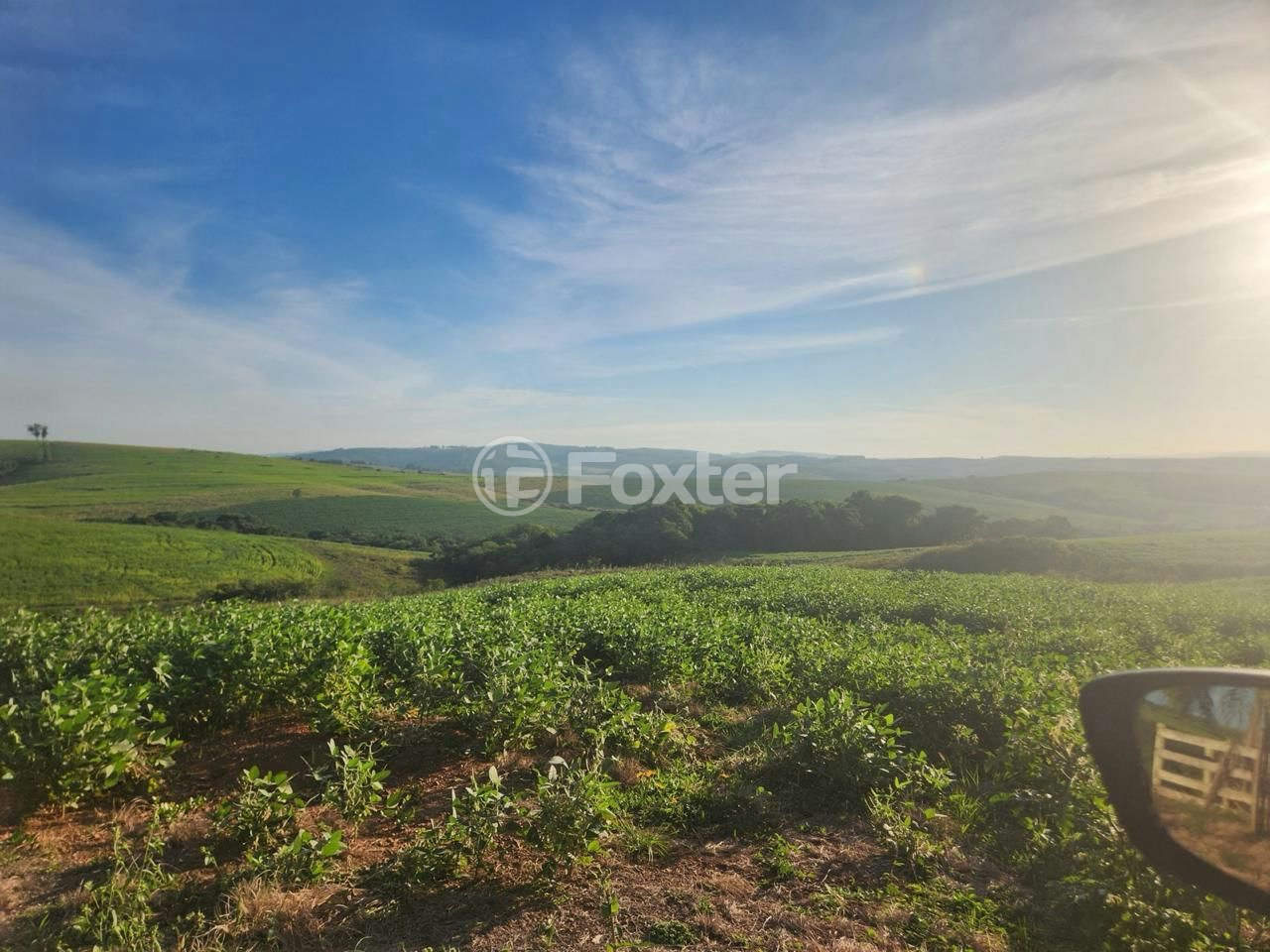 Fazenda à venda com 5 quartos, 2500000m² - Foto 7