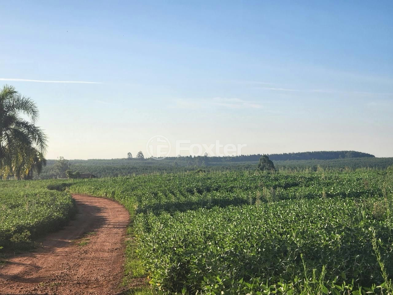 Fazenda à venda com 5 quartos, 2500000m² - Foto 4