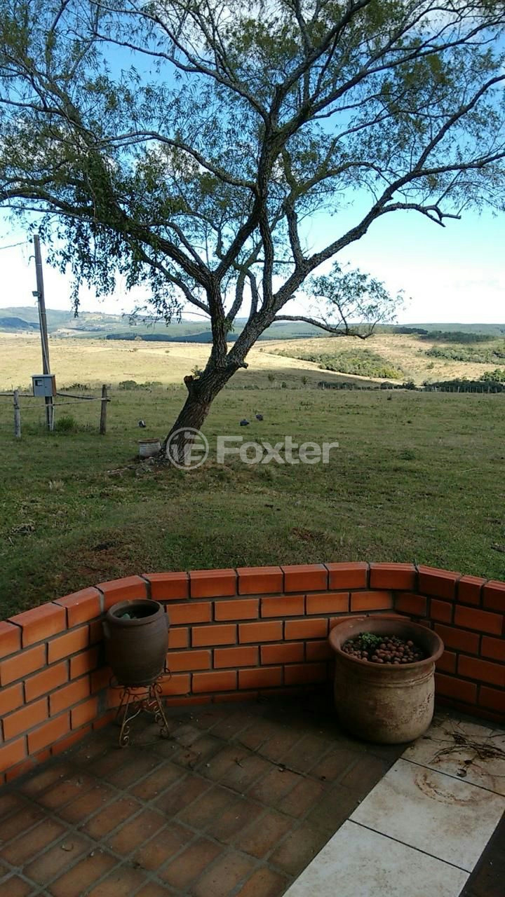Fazenda à venda com 5 quartos, 2500000m² - Foto 13