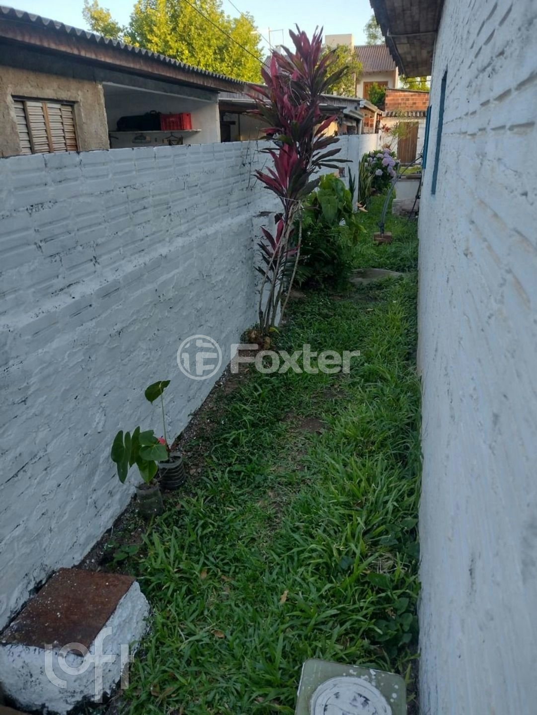 Casa à venda com 3 quartos, 49m² - Foto 6