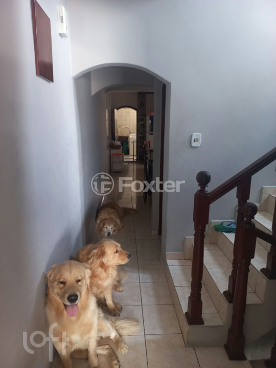 Casa à venda com 4 quartos, 400m² - Foto 11