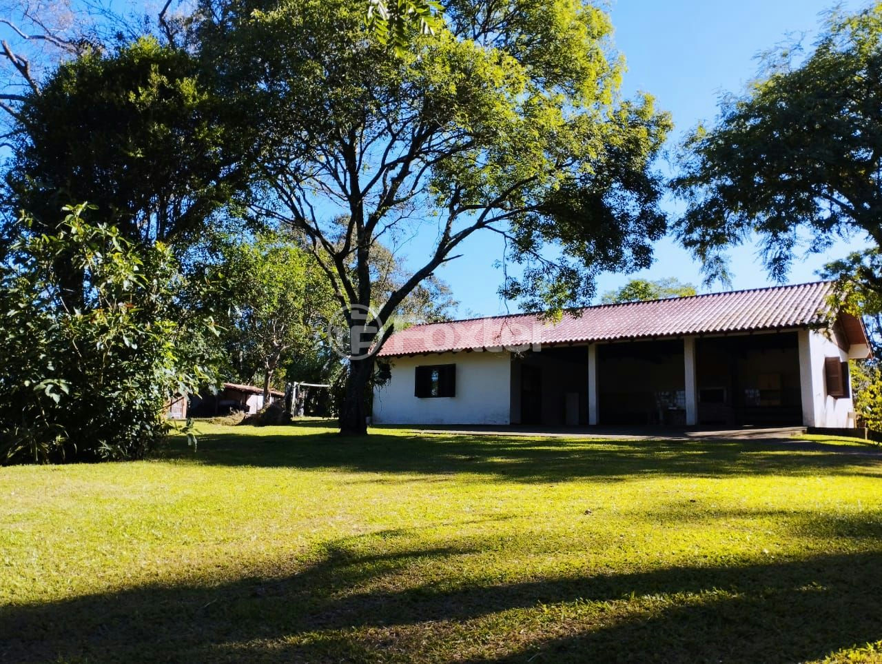 Sítio à venda com 4 quartos, 200m² - Foto 5