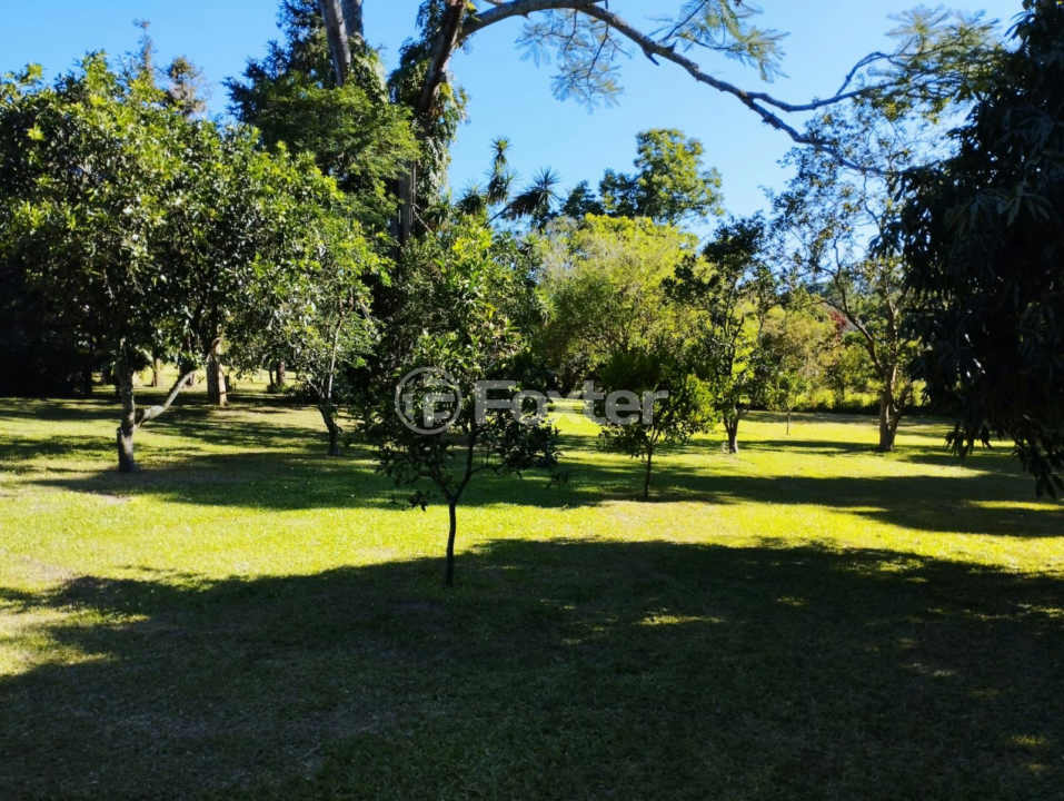 Sítio à venda com 4 quartos, 200m² - Foto 8