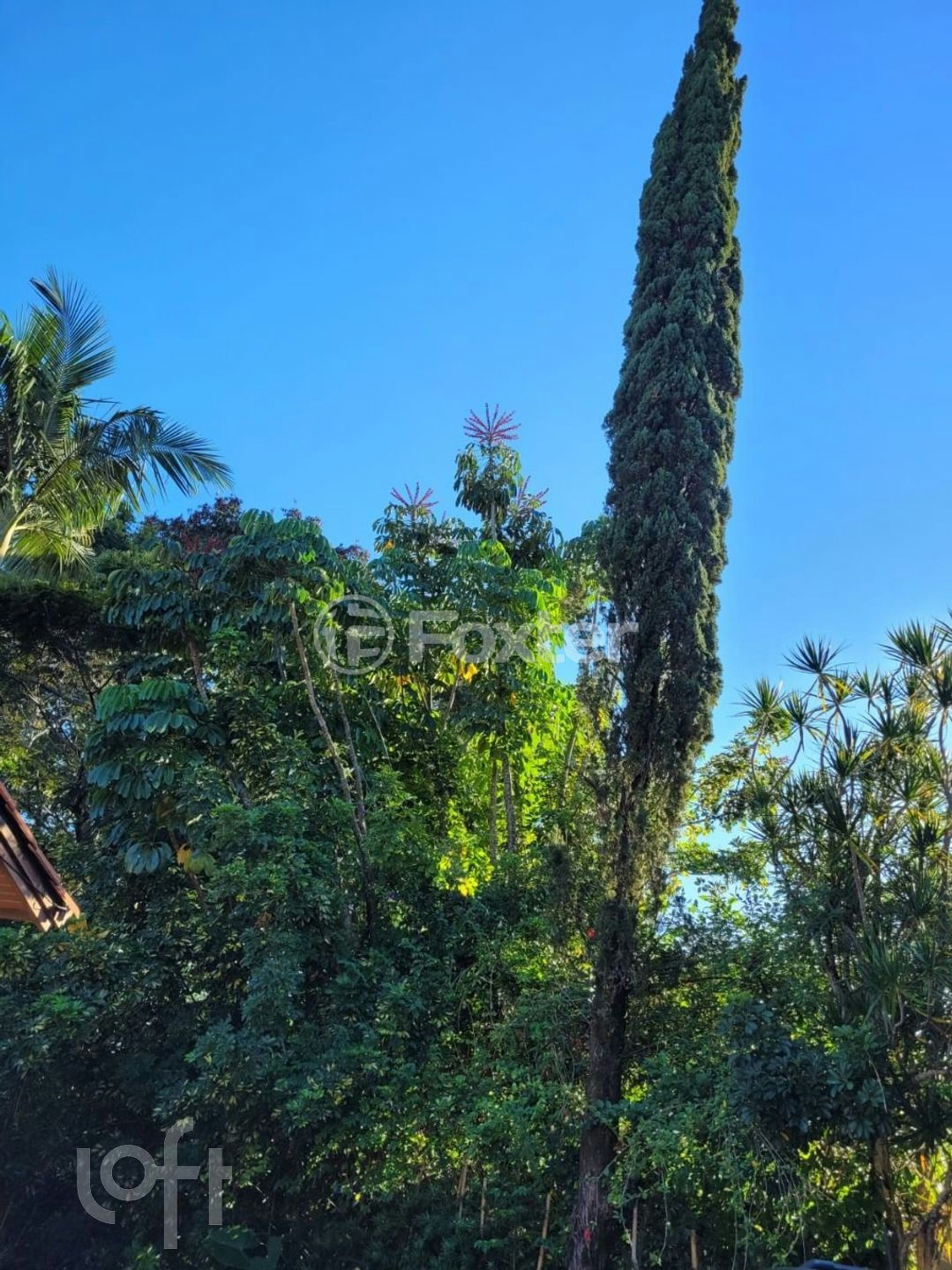Casa à venda com 4 quartos, 410m² - Foto 39