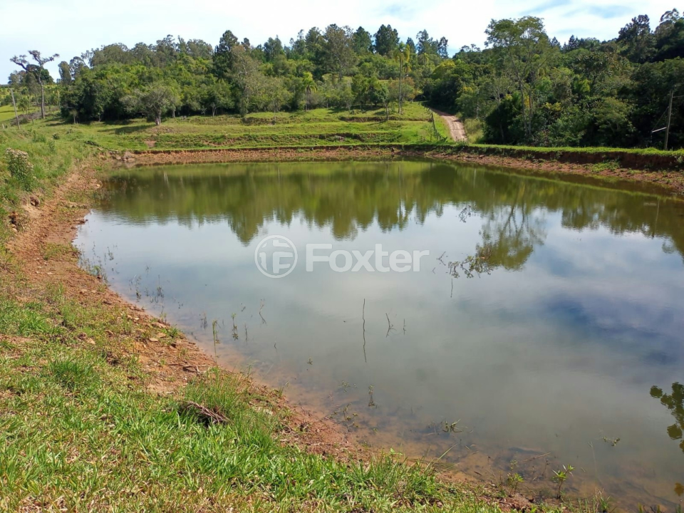 Fazenda à venda com 5 quartos, 230m² - Foto 35