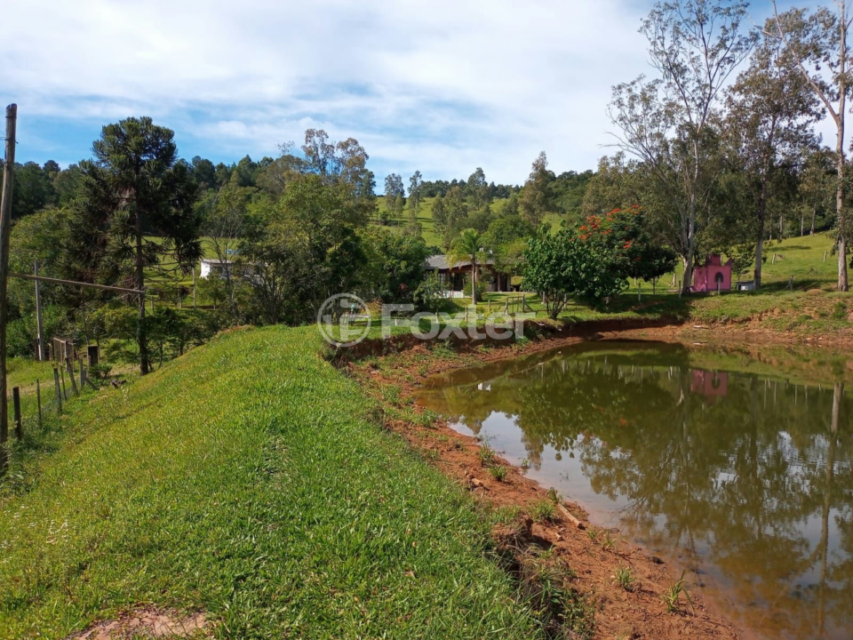 Fazenda à venda com 5 quartos, 230m² - Foto 32