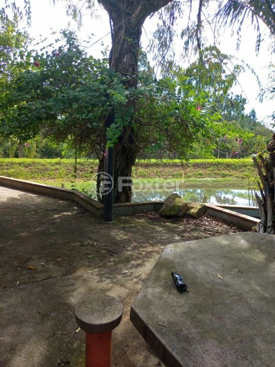 Fazenda à venda com 5 quartos, 230m² - Foto 46