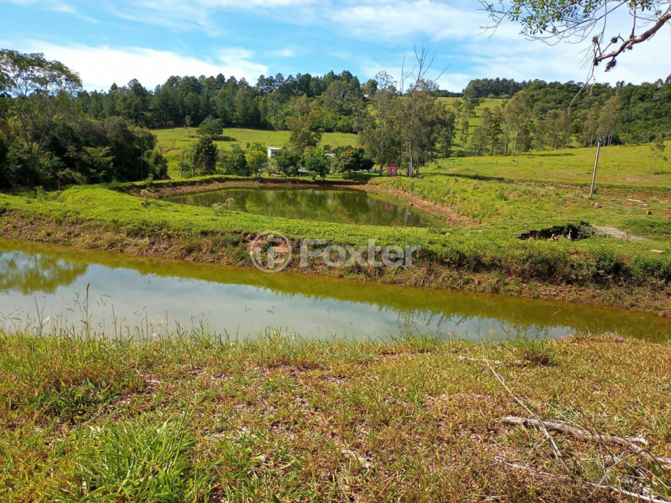 Fazenda à venda com 5 quartos, 230m² - Foto 26