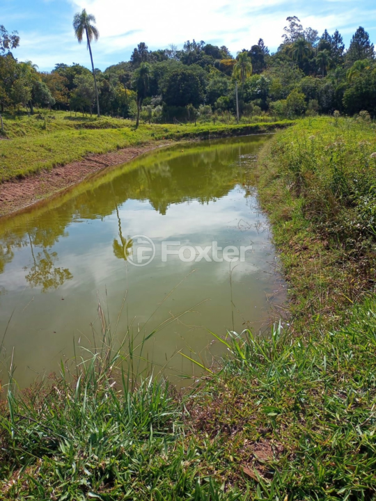 Fazenda à venda com 5 quartos, 230m² - Foto 48