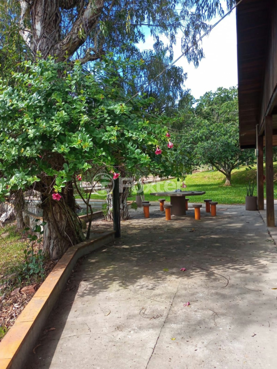 Fazenda à venda com 5 quartos, 230m² - Foto 29