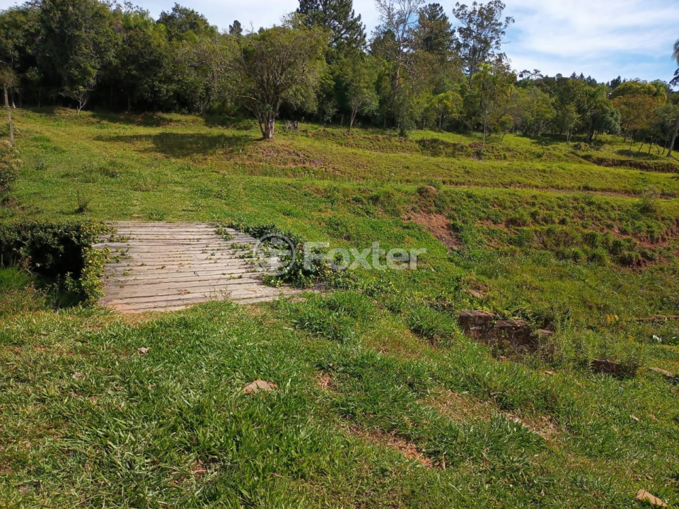Fazenda à venda com 5 quartos, 230m² - Foto 45
