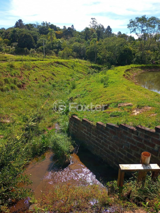 Fazenda à venda com 5 quartos, 230m² - Foto 36
