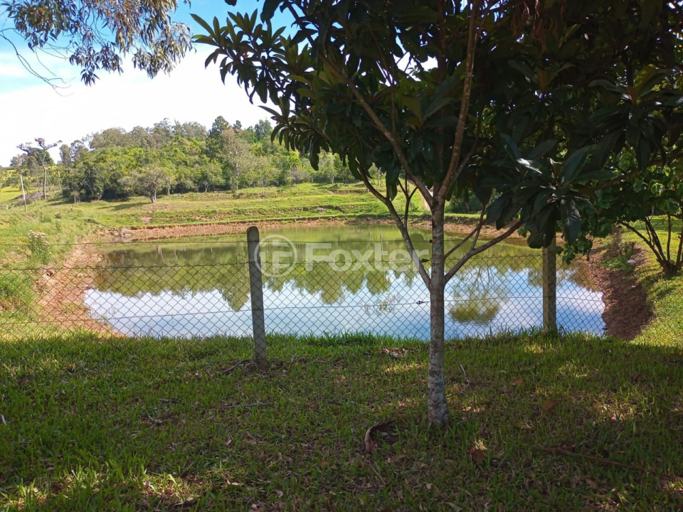 Fazenda à venda com 5 quartos, 230m² - Foto 43