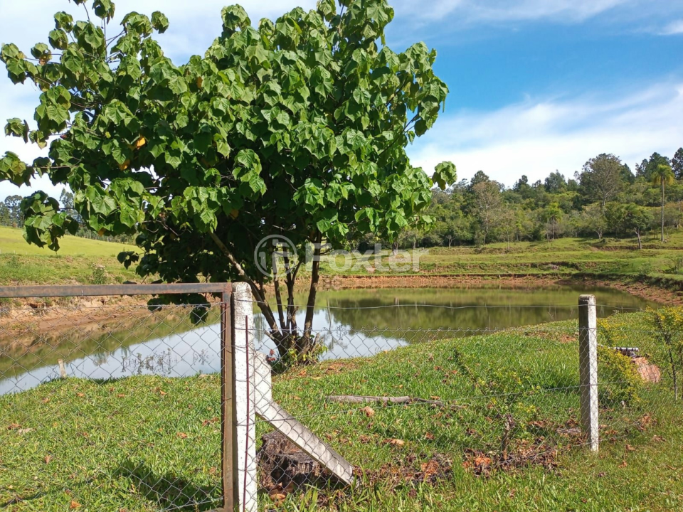 Fazenda à venda com 5 quartos, 230m² - Foto 33