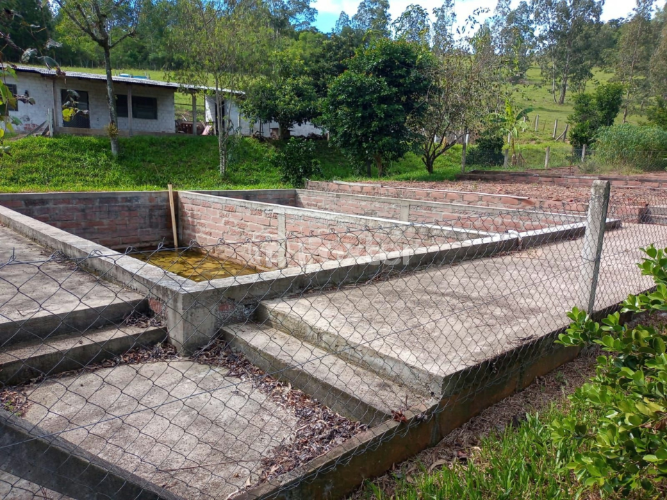 Fazenda à venda com 5 quartos, 230m² - Foto 52