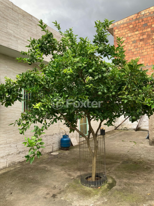 Casa à venda com 4 quartos, 194m² - Foto 56