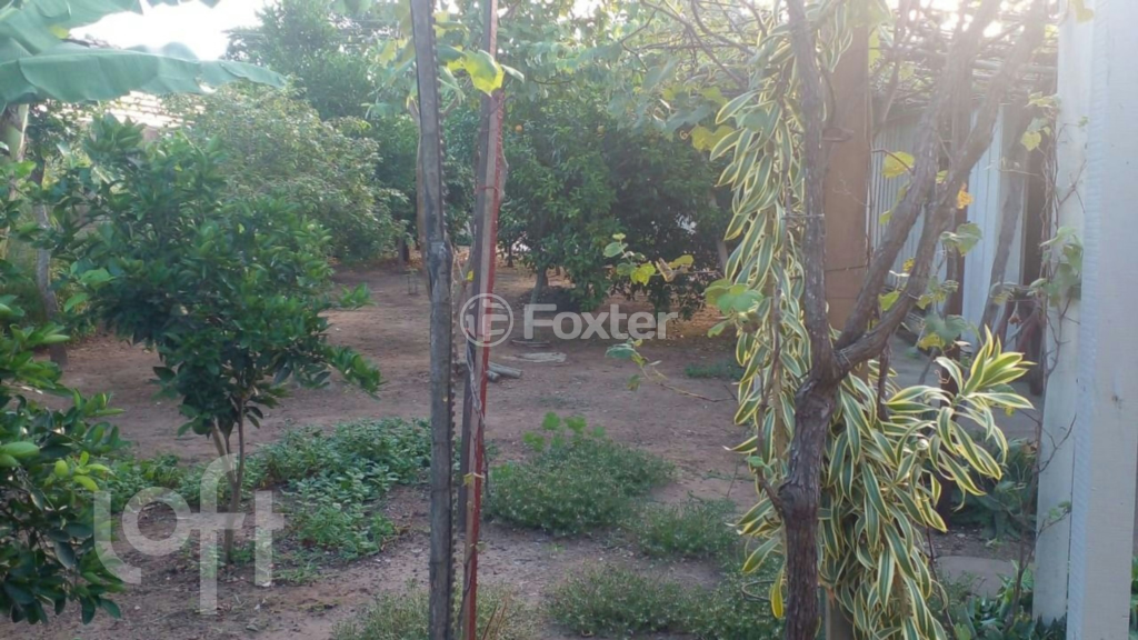 Casa à venda com 2 quartos, 289m² - Foto 10