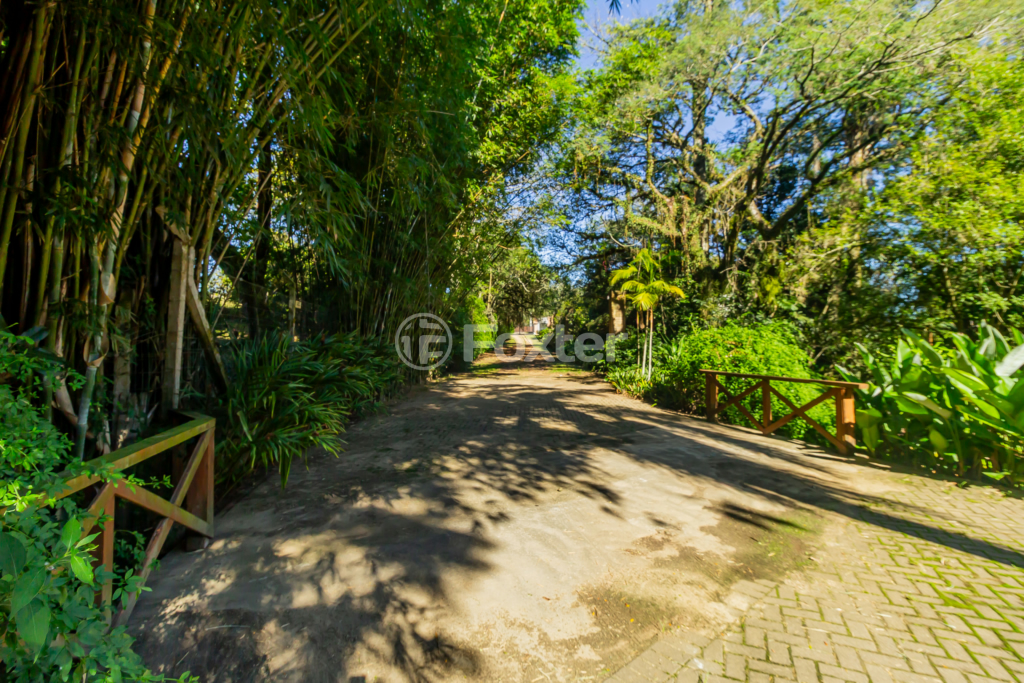 Sítio à venda com 4 quartos, 82032m² - Foto 21