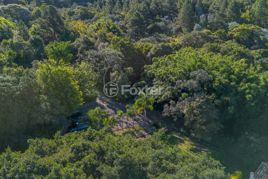 Sítio à venda com 4 quartos, 82032m² - Foto 45