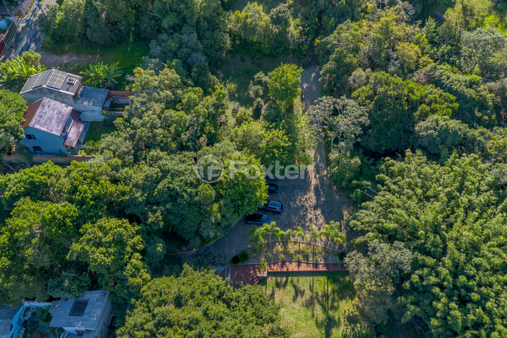 Sítio à venda com 4 quartos, 82032m² - Foto 49