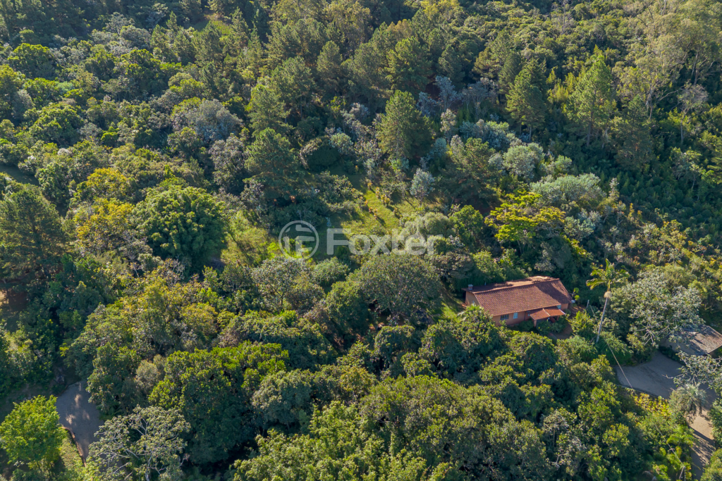 Sítio à venda com 4 quartos, 82032m² - Foto 50