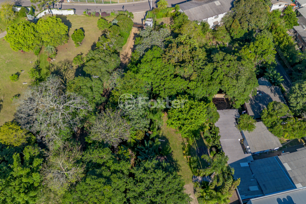 Sítio à venda com 4 quartos, 82032m² - Foto 54