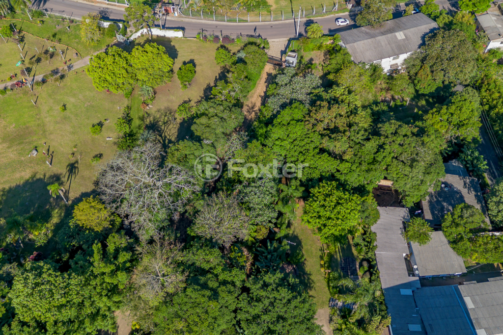 Sítio à venda com 4 quartos, 82032m² - Foto 55