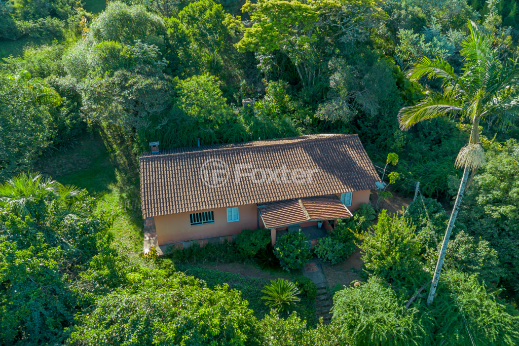 Sítio à venda com 4 quartos, 82032m² - Foto 57