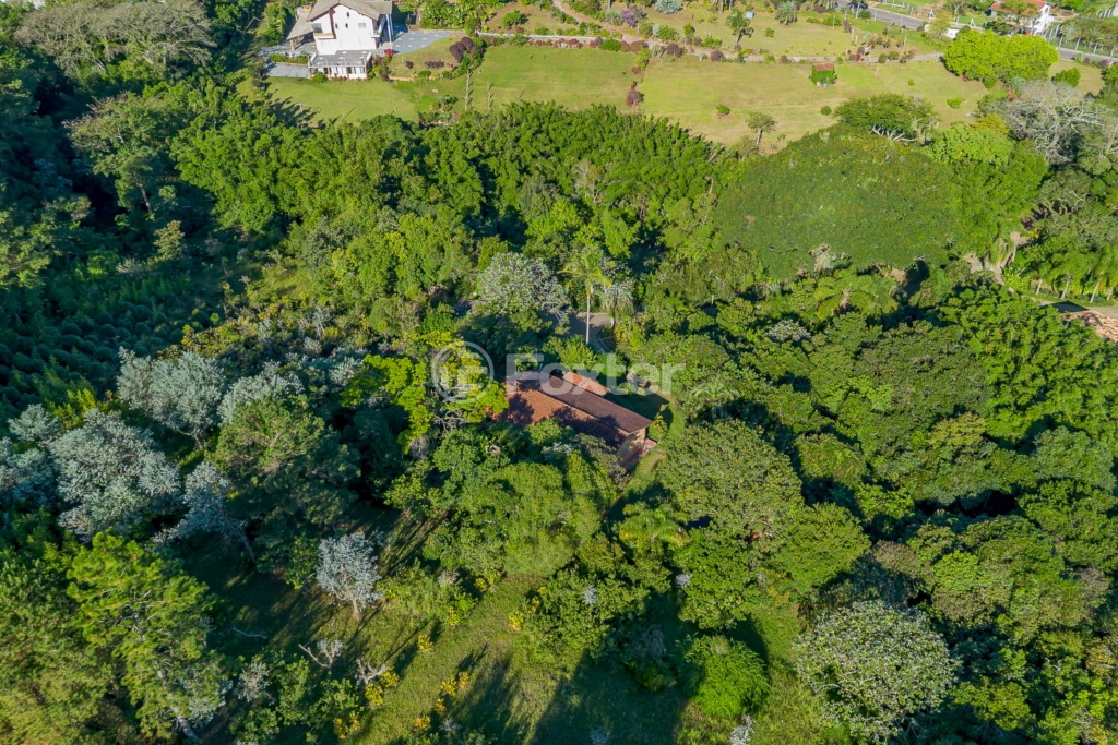 Sítio à venda com 4 quartos, 82032m² - Foto 58
